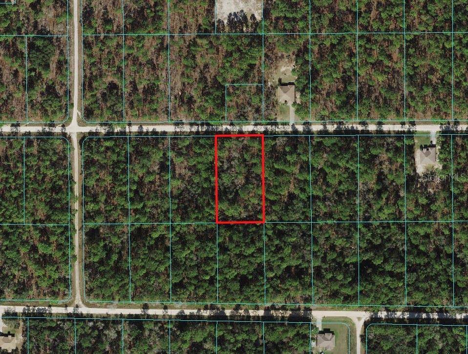 Dunnellon, FL 34432,0 SW 78TH PL