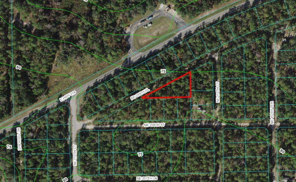 Fort Mc Coy, FL 32134,Lot 1 NE 239TH PL