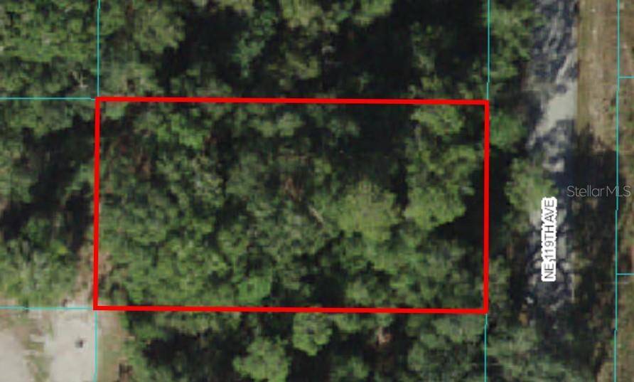 Fort Mc Coy, FL 32134,Lot 19 NE 119TH AVE