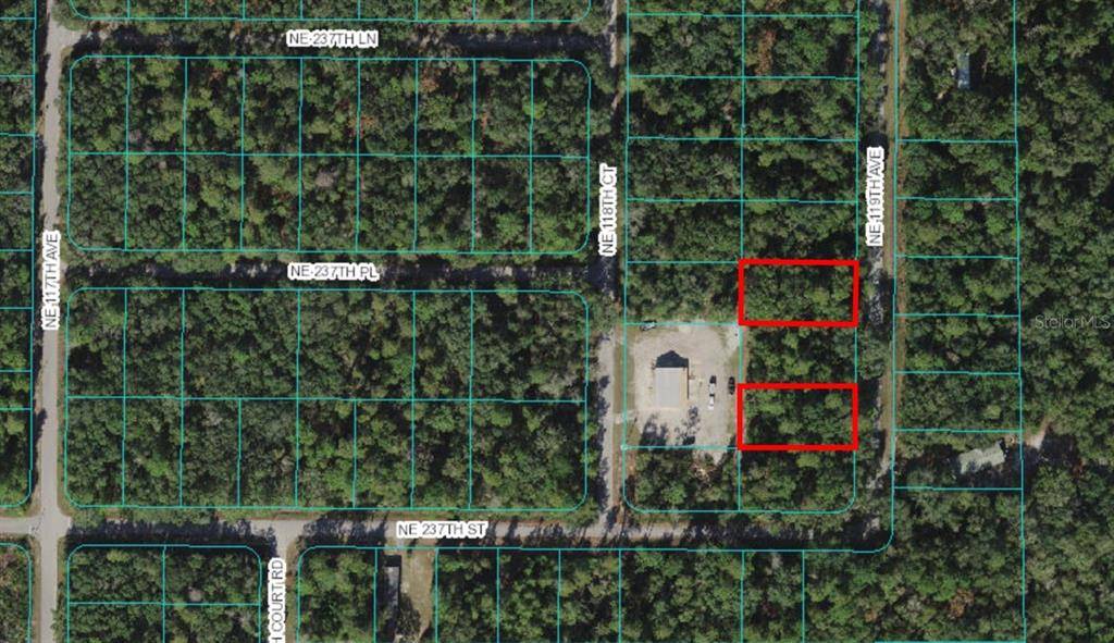 Fort Mc Coy, FL 32134,Lot 21 NE 119TH AVE