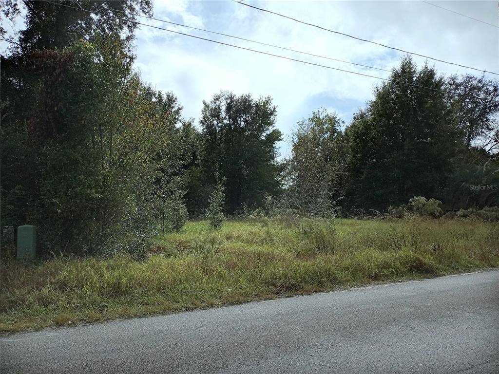 Summerfield, FL 34491,0 SE 171ST PL