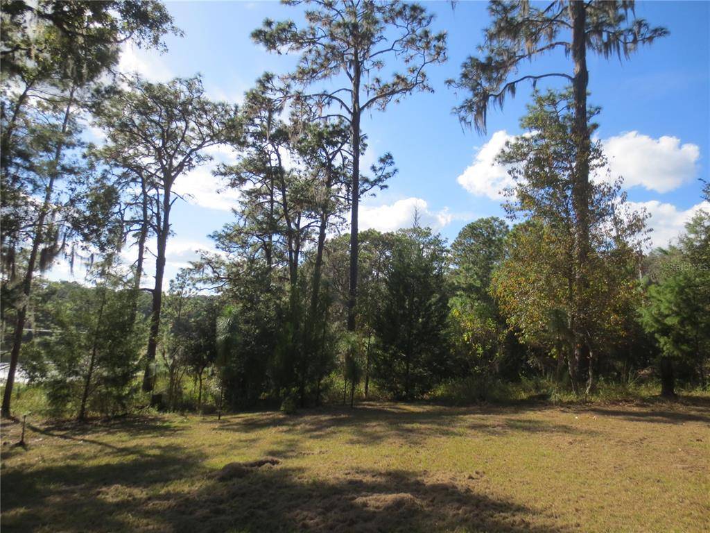 Ocklawaha, FL 32179,14910 SE 47TH LOOP