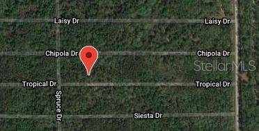 Georgetown, FL 32139,406 TROPICAL DR