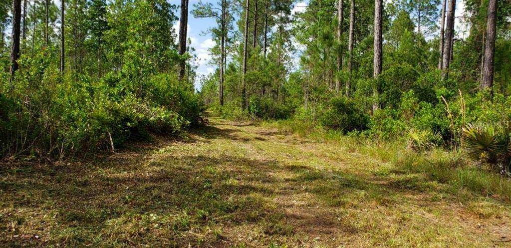 Fort Mc Coy, FL 32134,TBD NE 212TH STREET RD