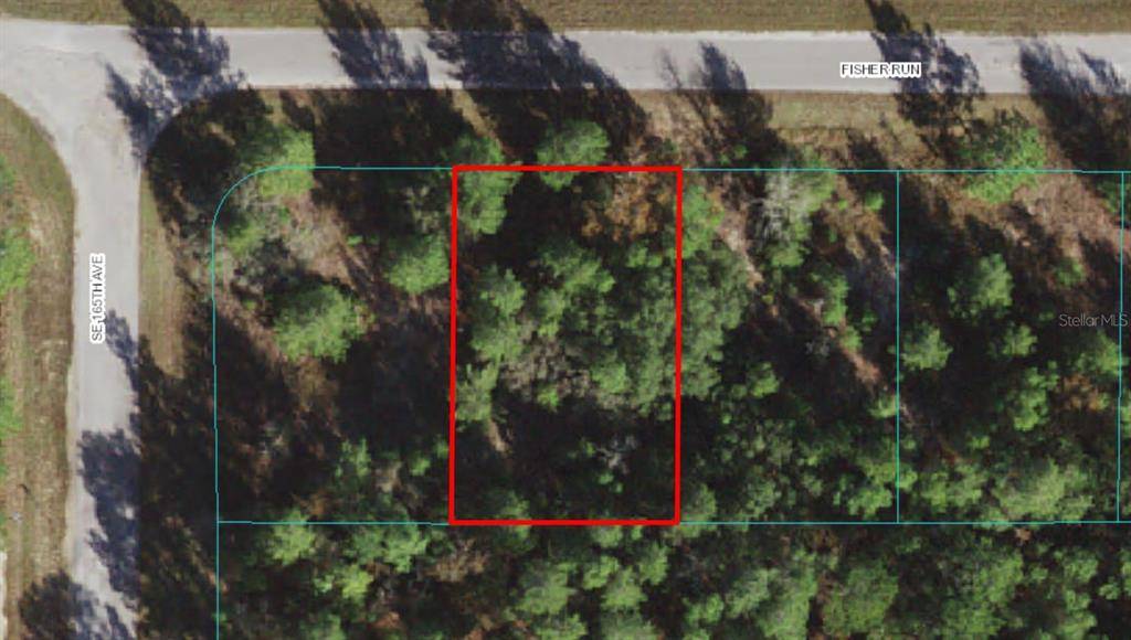 Ocklawaha, FL 32179,Lot 11 FISHER RUN