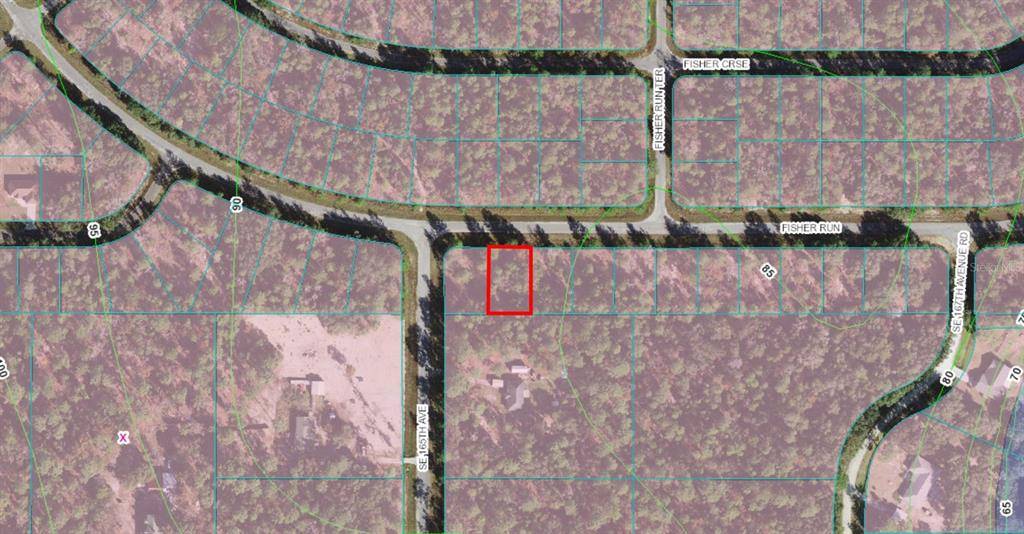 Ocklawaha, FL 32179,Lot 11 FISHER RUN