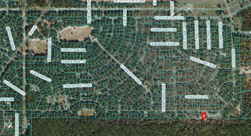 Ocklawaha, FL 32179,Lot 21 GUAVA PASS