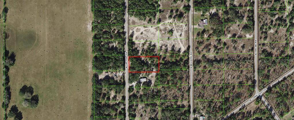 Dunnellon, FL 34433,11811 N CAPTIVA TER