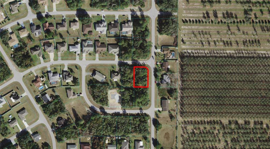 Ocala, FL 34473,TBD SW 142ND LN