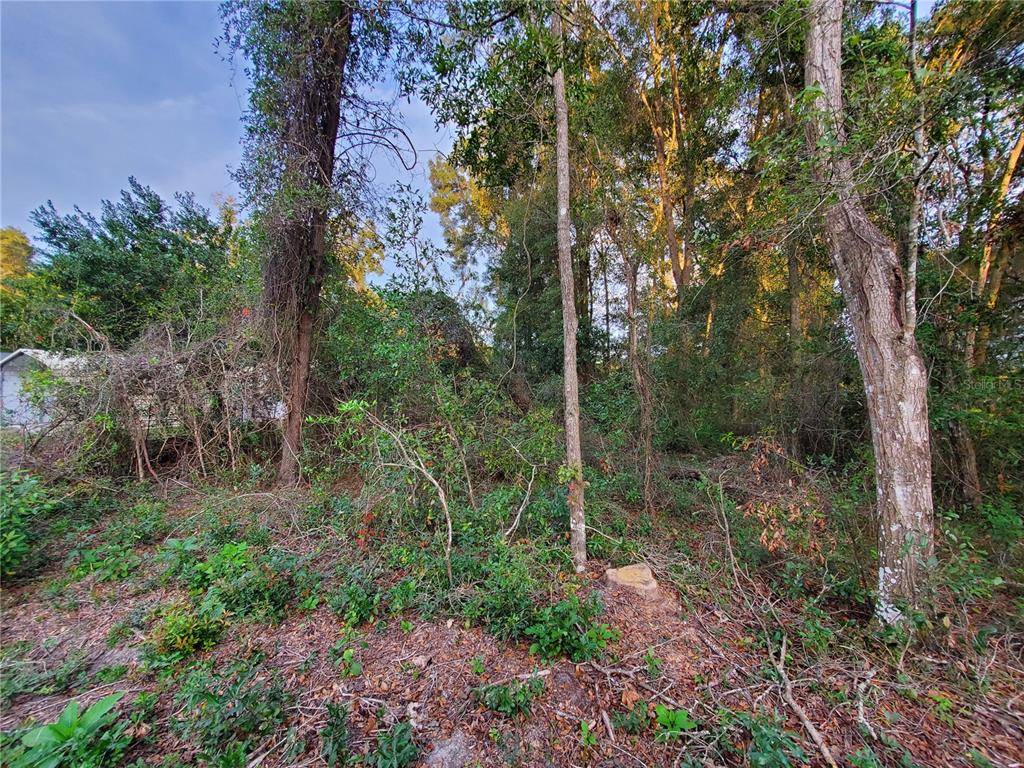 Summerfield, FL 34491,lot 7 SE 38TH TER