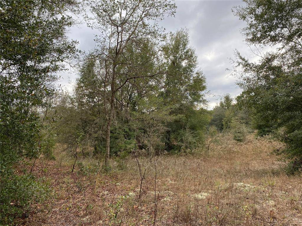 Dunnellon, FL 34432,SW 104TH LN