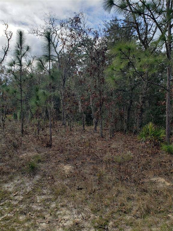 Dunnellon, FL 34432,SW 137TH COURT RD