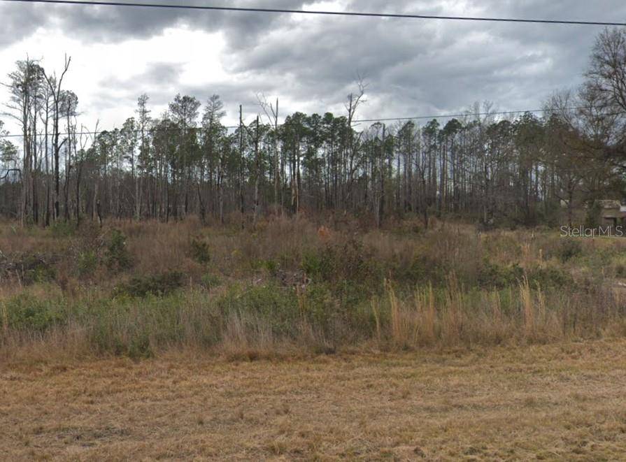 Bryceville, FL 32009,Lot 104 COUNTY RD 119