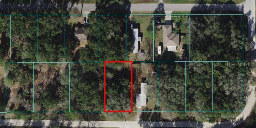 Summerfield, FL 34491,TBD SE 140TH PL