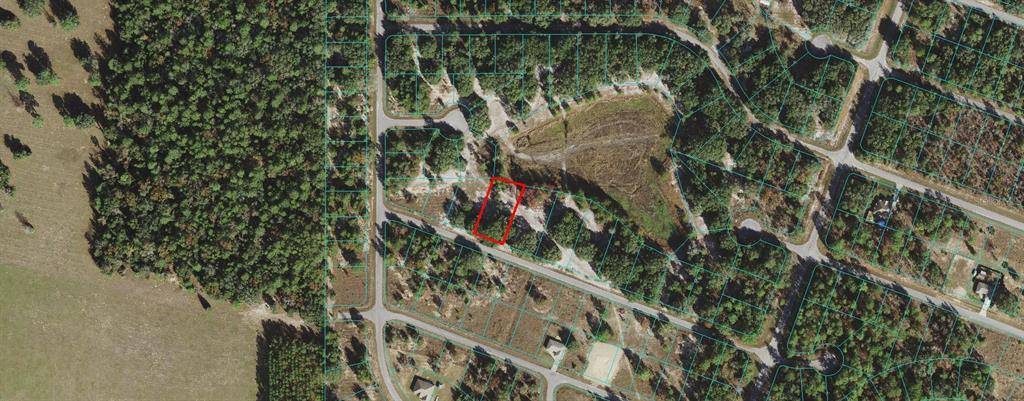 Ocklawaha, FL 32179,Lot 15 MALAUKA LOOP RUN RD