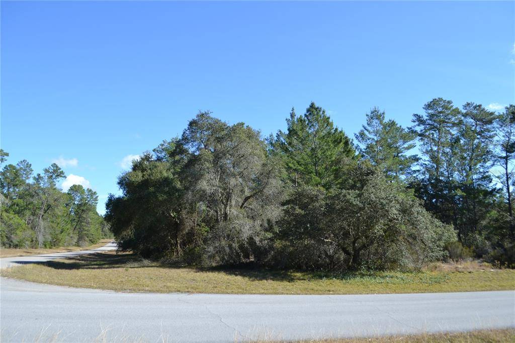 Ocala, FL 34473,0 SW 25TH CIR