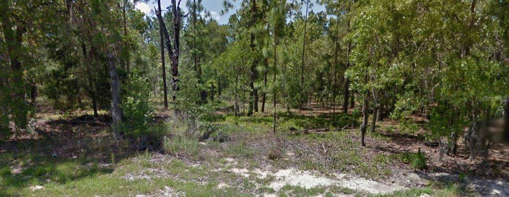 Citrus Springs, FL 34434,9458 N CAMEL DR