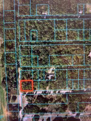 Dunnellon, FL 34432,SW 177TH CT