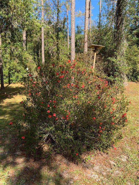 Dunnellon, FL 34431,21601 SW 88TH PLACE RD