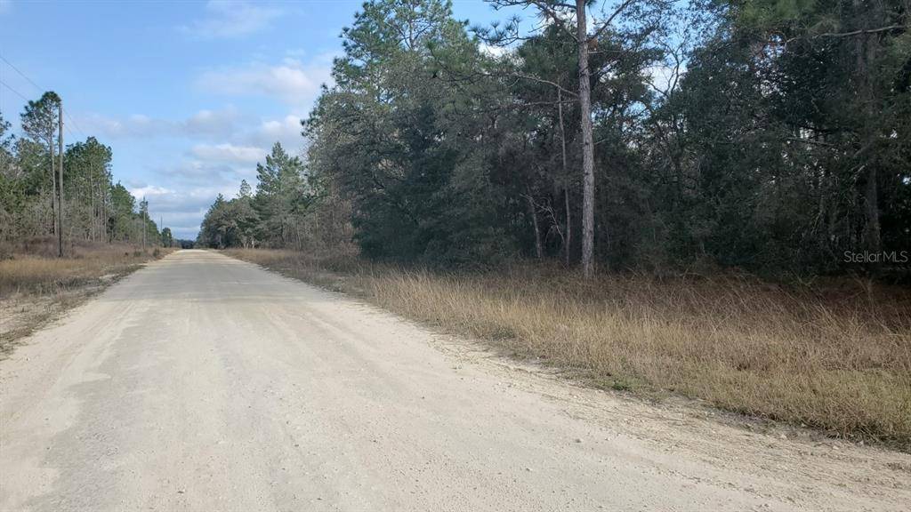 Dunnellon, FL 34432,TBD SW 80 ST