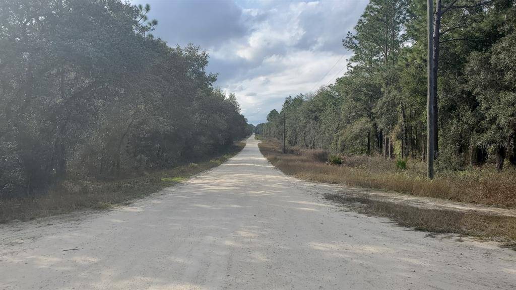 Dunnellon, FL 34432,TBD SW 80 ST