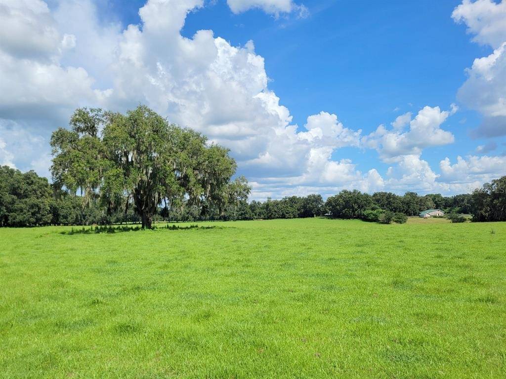 Reddick, FL 32686,HWY 316 #Lot #9