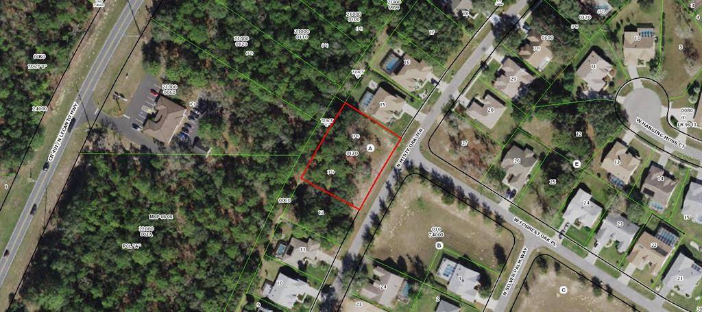 Beverly Hills, FL 34465,6252 NORTH MISTY OAK TERRACE LOT 13