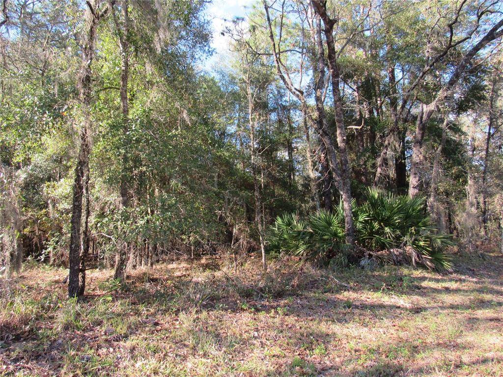 Dunnellon, FL 34432,LOT 014 SW 73 LOOP