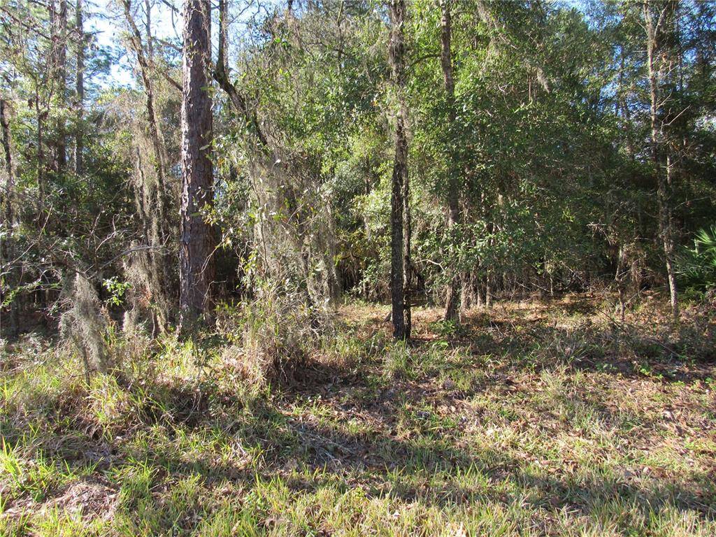 Dunnellon, FL 34432,LOT 014 SW 73 LOOP