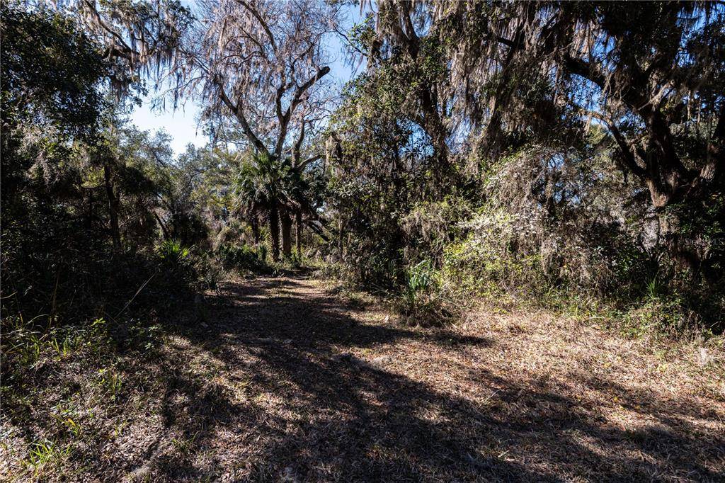 Ocklawaha, FL 32179,17200 SE 27TH PLACE RD