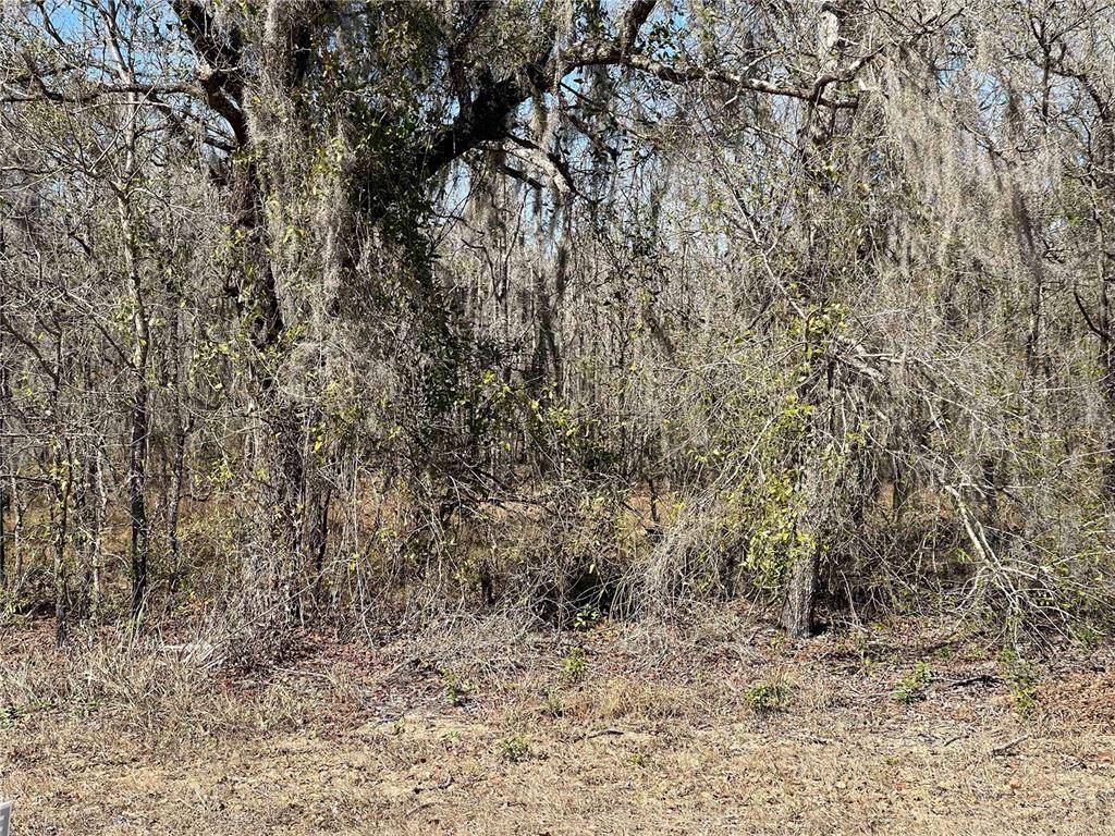 Morriston, FL 32668,Lot 14 SE 16 LN