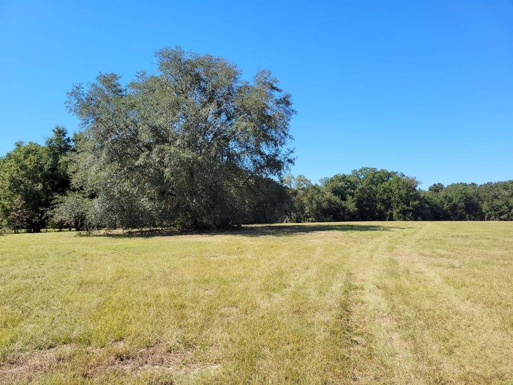 Citra, FL 32113,JRR #16 (10ac) NE 144TH STREET