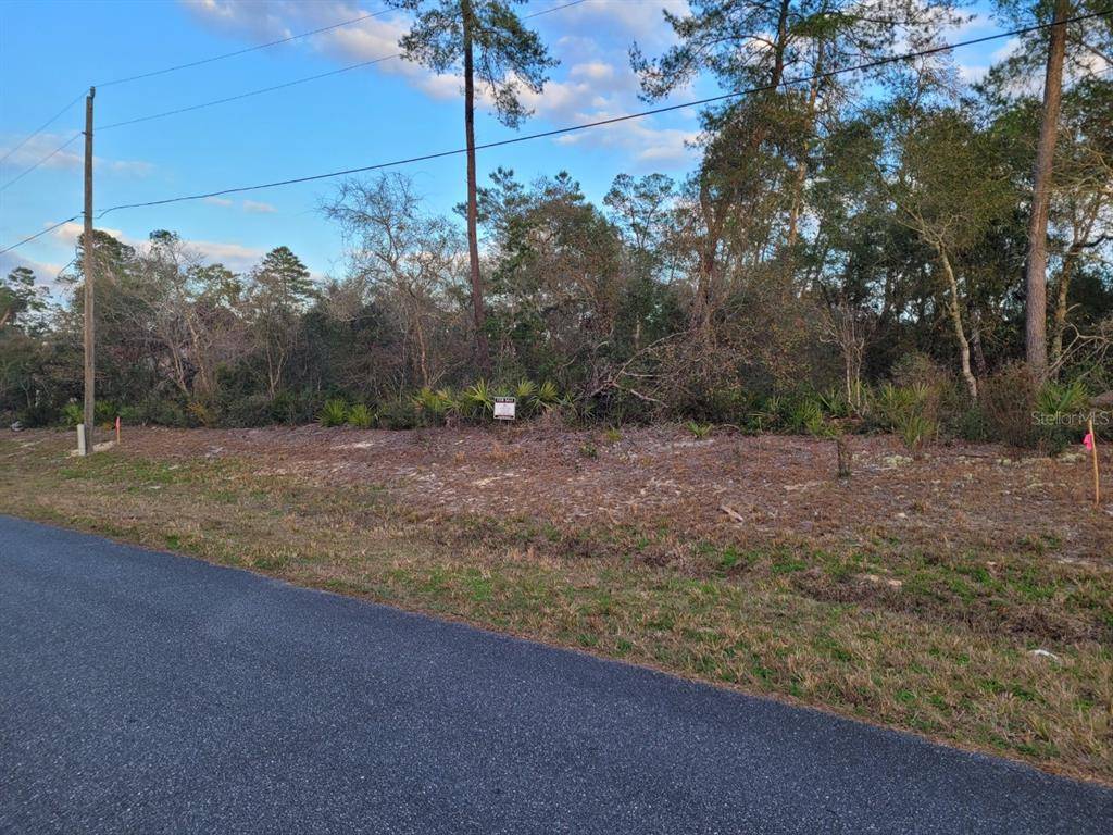 Ocala, FL 34473,SW 156TH LOOP