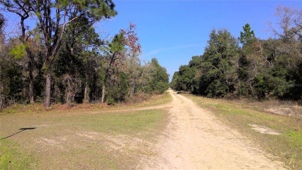 Dunnellon, FL 34432,lot 6 SW 95 TH PL