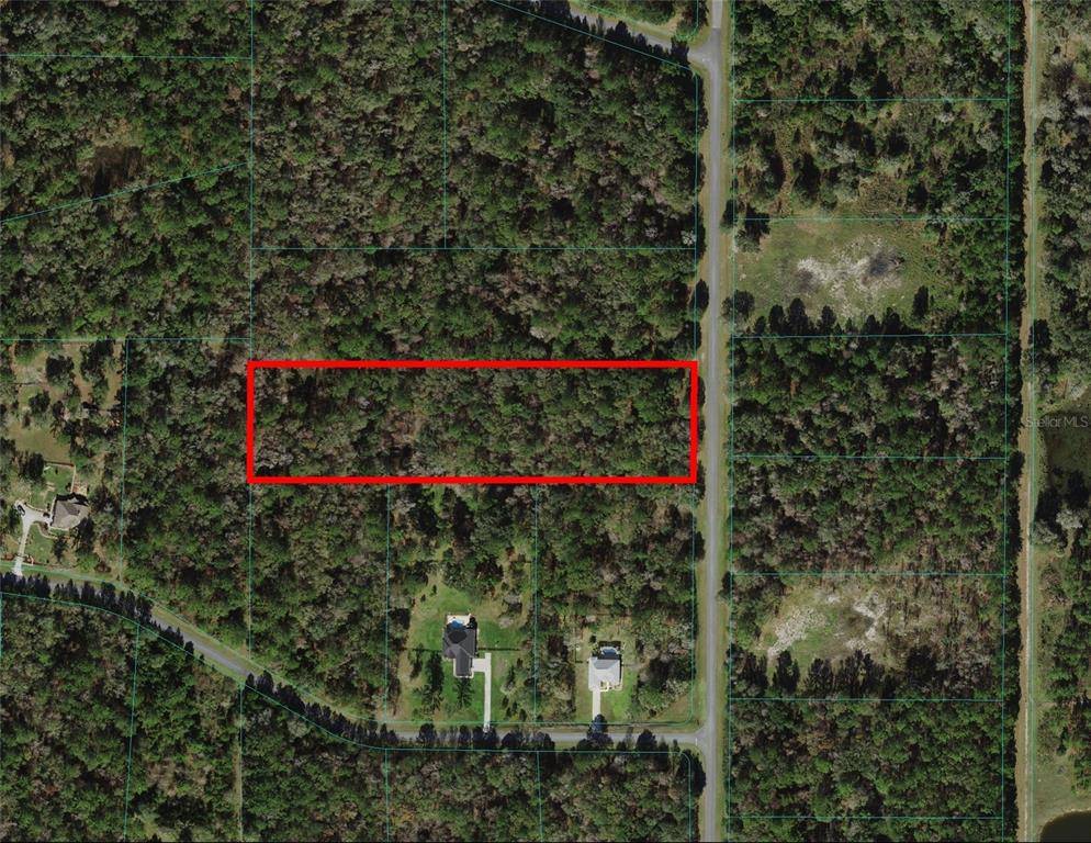 Williston, FL 32696,TBD NW 141ST AVE