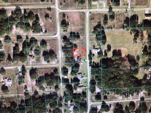 Dunnellon, FL 34432,0 SW 131 TER