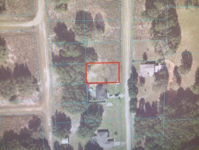 Dunnellon, FL 34432,0 SW 131 TER