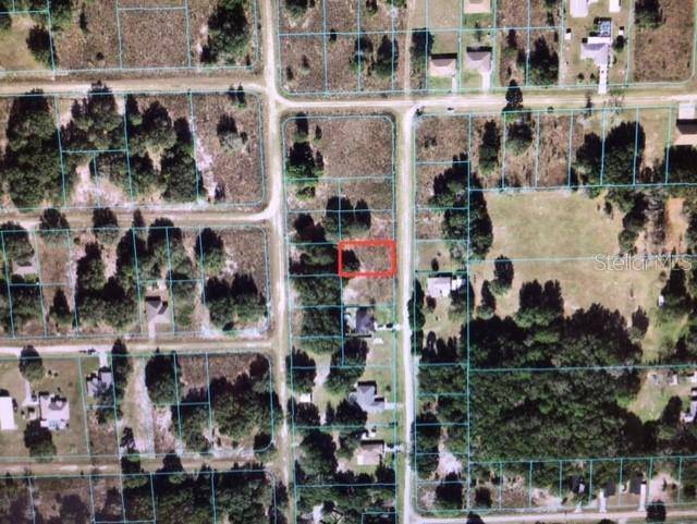 Dunnellon, FL 34432,0 SW 131 TER