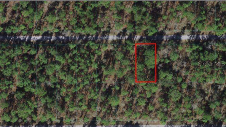 Dunnellon, FL 34432,Lot 19 NW SUMMERFIELD AVE