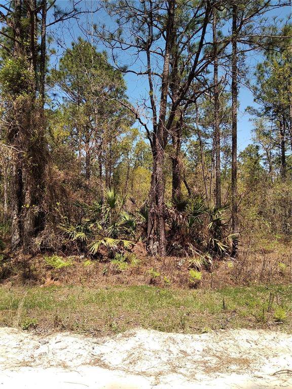 Dunnellon, FL 34432,TBD SW 76TH LN