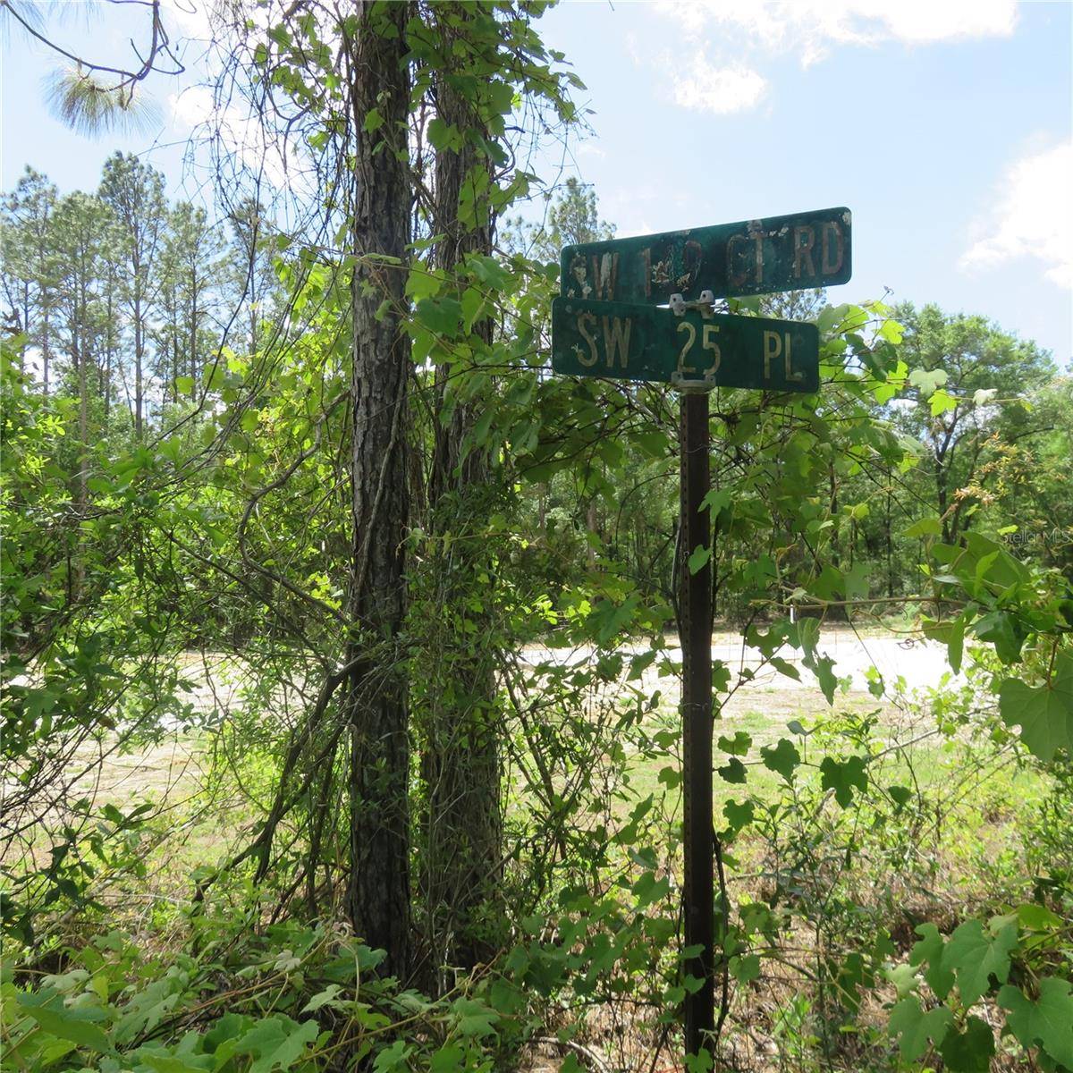 Ocala, FL 34481,00 SW 25TH PL #LOT 28