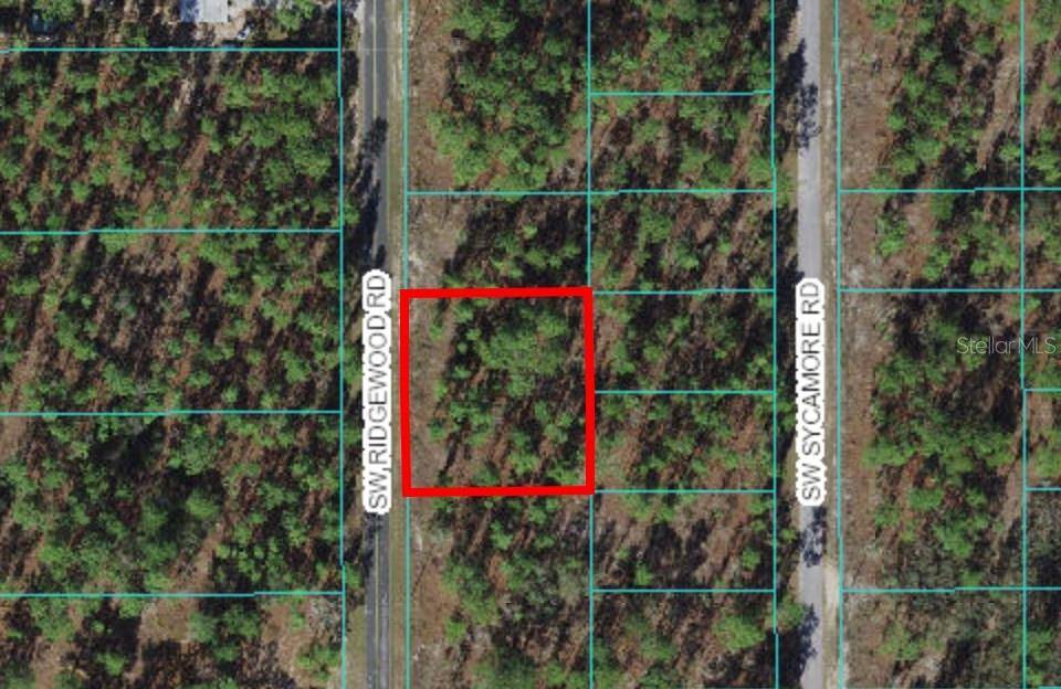 Dunnellon, FL 34431,TBD SW RIDGEWOOD RD