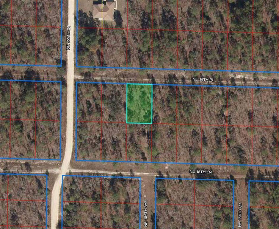 Williston, FL 32696,15580 NE 16TH PL