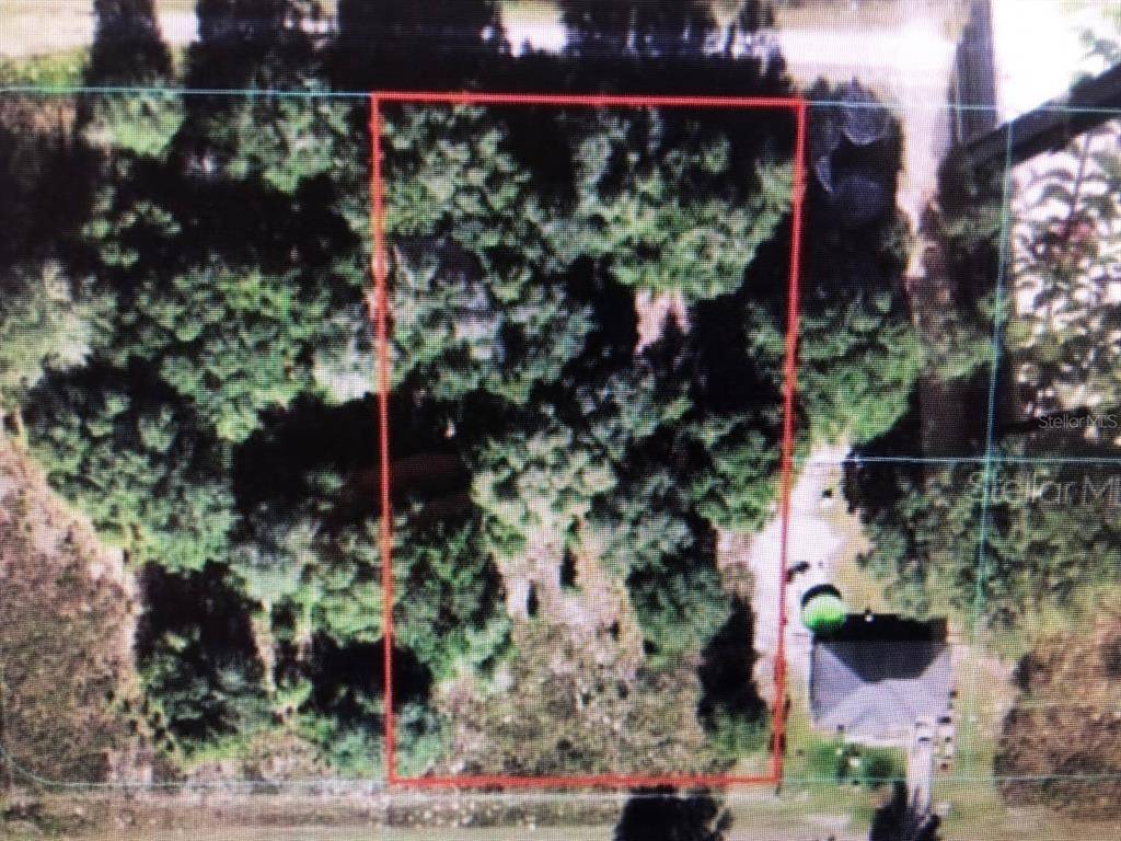 Dunnellon, FL 34432,0 SW 111 LANE & SW 112 STREET