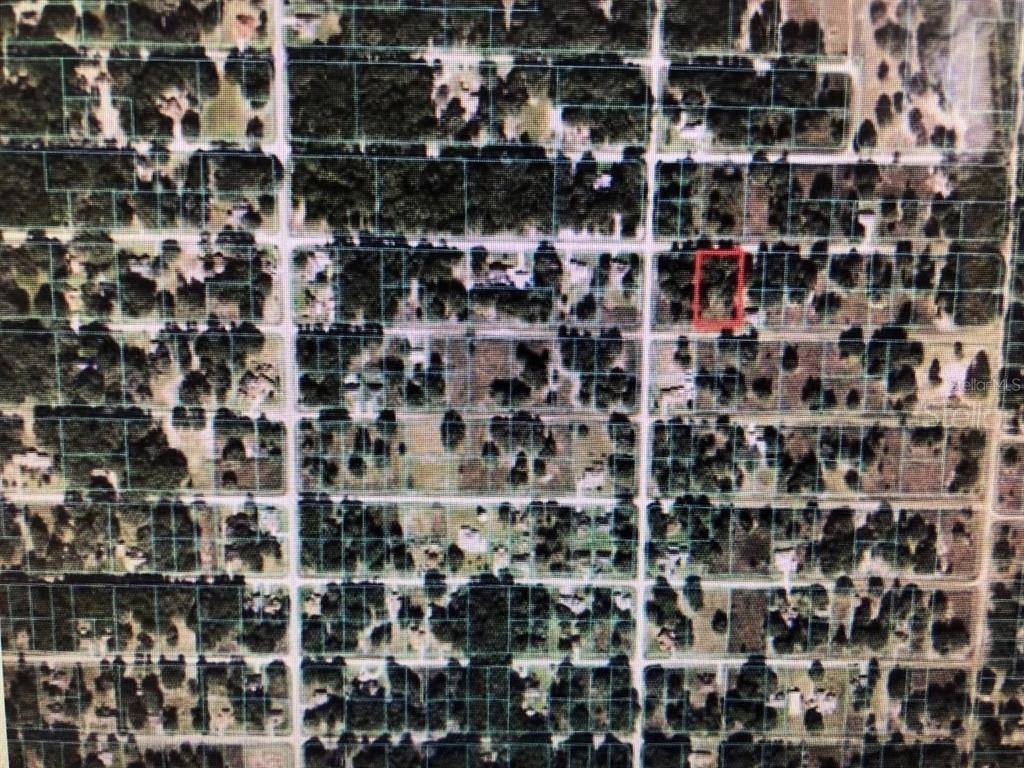 Dunnellon, FL 34432,0 SW 111 LANE & SW 112 STREET