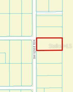 Dunnellon, FL 34432,0 SW121ST TER.