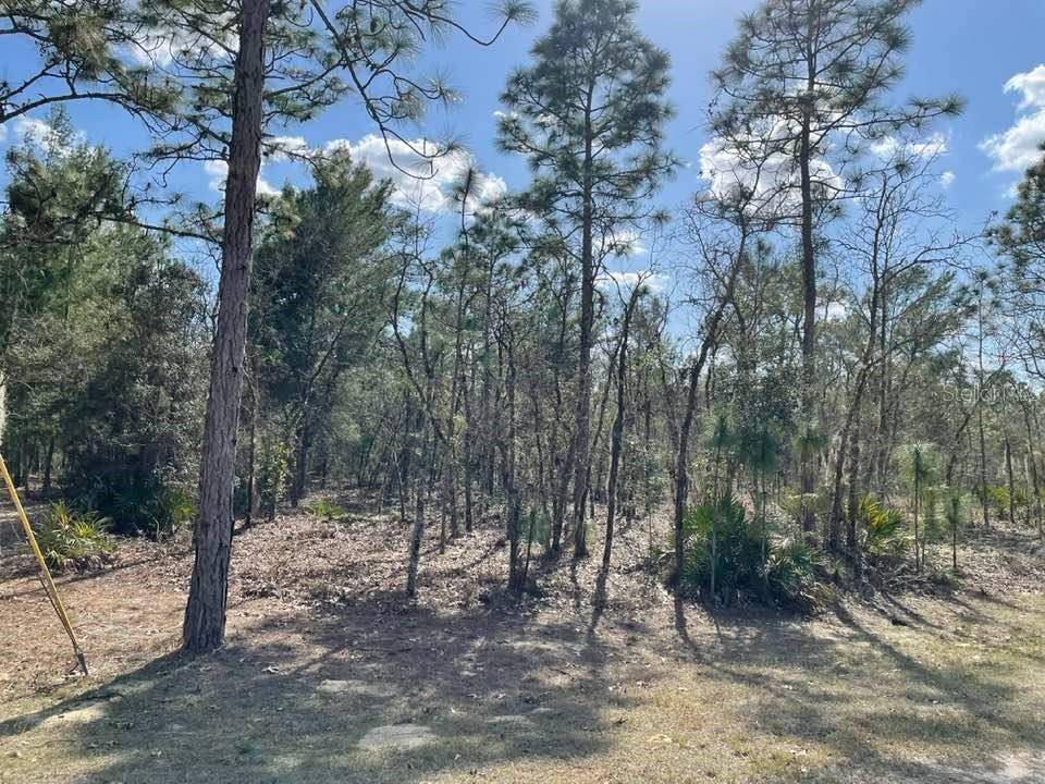 Dunnellon, FL 34432,0 SW121ST TER.