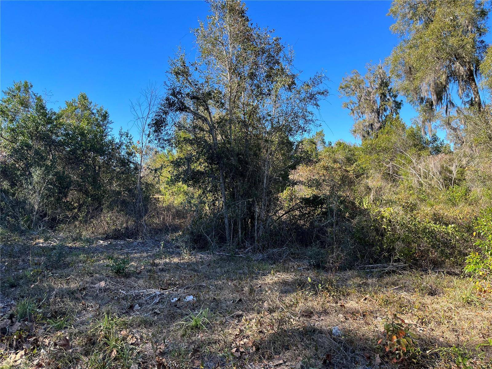 Chiefland, FL 32626,Lot 13 SW 2ND AVE