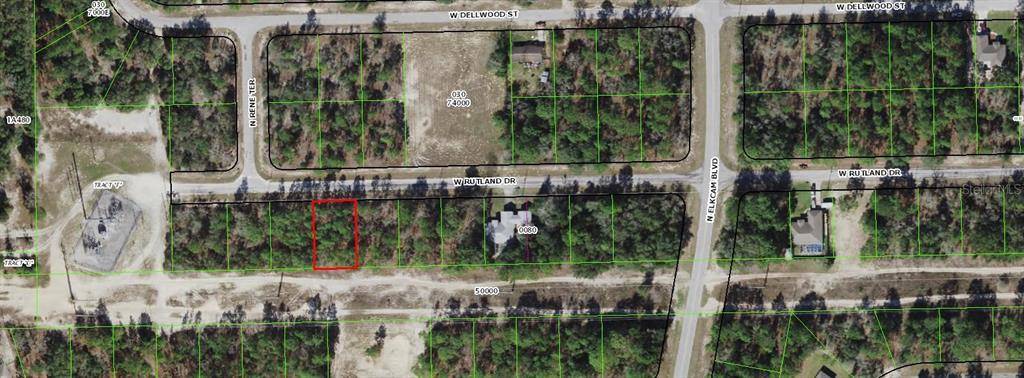 Citrus Springs, FL 34433,2894 W RUTLAND DR