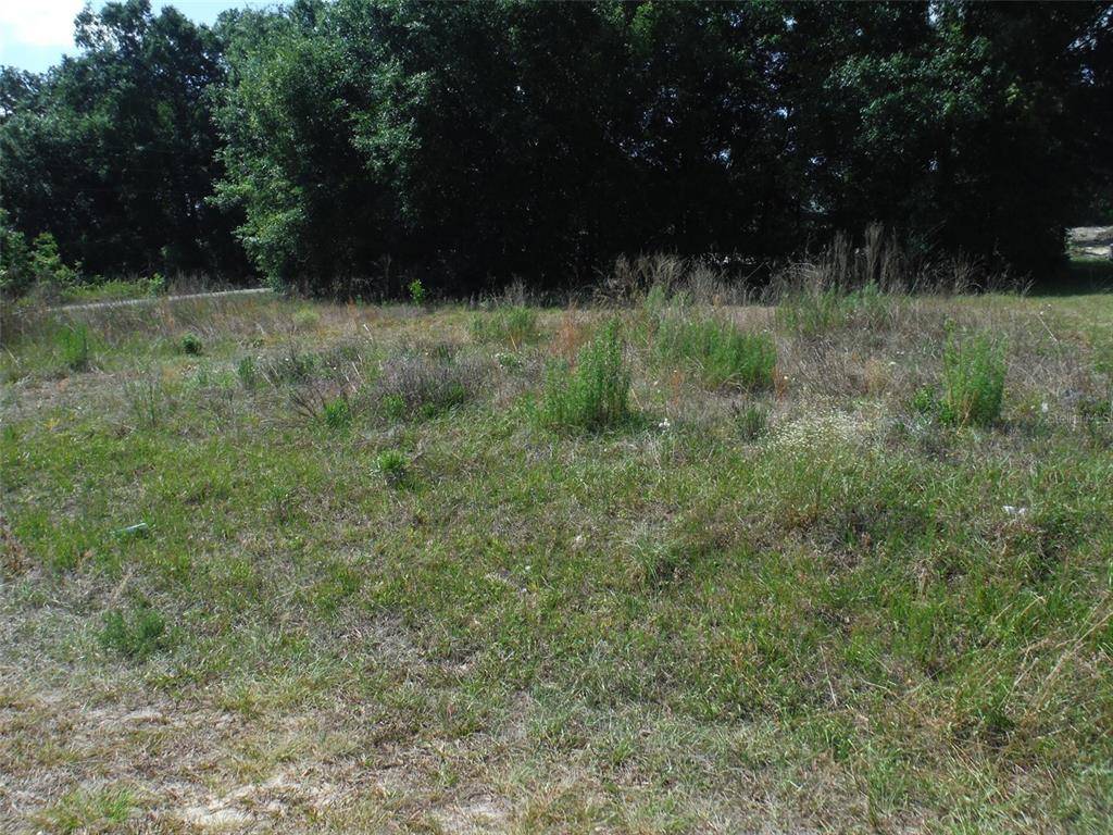 Summerfield, FL 34491,TBD SE 161ST ST